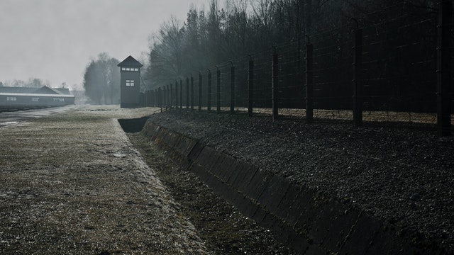 Knihy z prostředí koncentračních táborů, na které nezapomenete